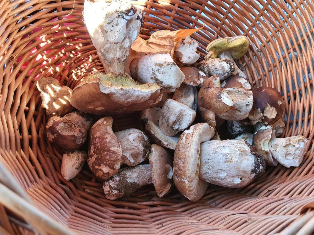 Gites Boulle Meyras Εξωτερικό φωτογραφία